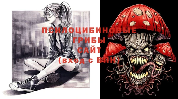 гидра Нязепетровск