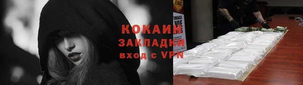 шишки Новодвинск
