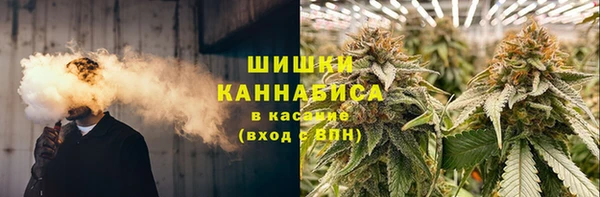 гидра Нязепетровск