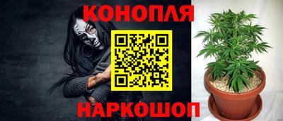 a pvp Гусев