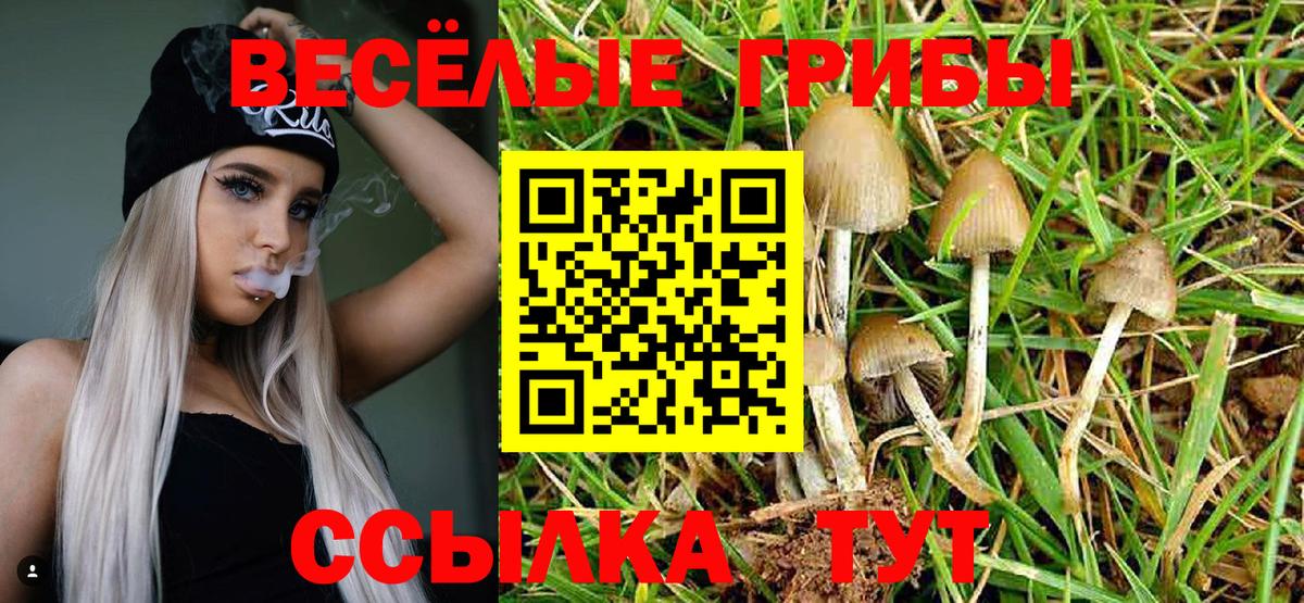 где купить наркоту  Псилоцибиновые грибы GOLDEN TEACHER  Вход с VPN  Кинешма 
