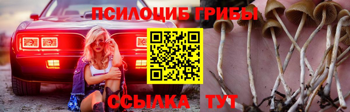 Галлюциногенные грибы мухоморы Кинешма